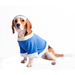 Yoriki Снегурочка Пуловер для собак, голубой, унисекс – интернет-магазин Ле’Муррр