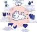 Влажный корм для собак Inaba Teishibo Куриное филе с куриной печенью в жел – интернет-магазин Ле’Муррр