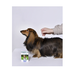 АВЗ Барс капли против блох и клещей для собак от 2 кг до 10 кг 1 пипетка/1,4 мл – интернет-магазин Ле’Муррр