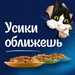 Влажный корм Felix Sensations для взрослых кошек, с индейкой в соусе со вкусом бекона – интернет-магазин Ле’Муррр
