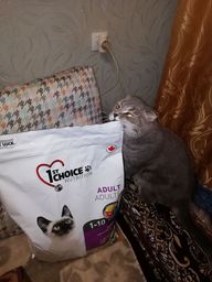Пользовательская фотография №3 к отзыву на 1st Choice Finicky Сухой корм для взрослых привередливых в еде кошек (с цыпленком)