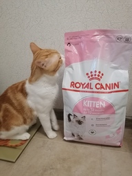 Пользовательская фотография №1 к отзыву на Royal Canin Kitten Корм сухой сбалансированный для котят в период второй фазы роста до 12 месяцев